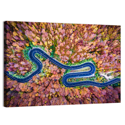 Curved Road Wall Art