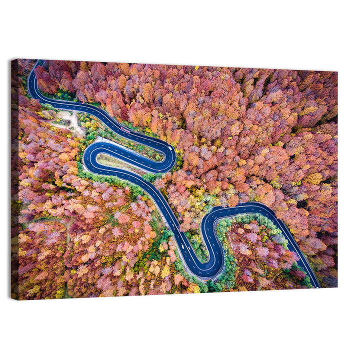 Serpentine Autumn Road Wall Art as a canvas print