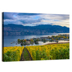 Okanagan Lake Vineyard, Kelowna Wall Art