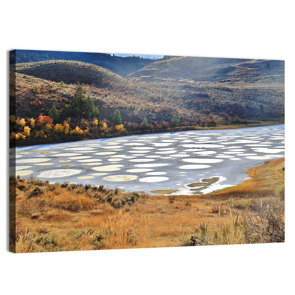 Spotted Lake Osoyoos Wall Art, canvas print, landscape