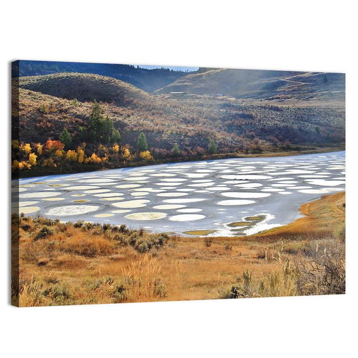 Spotted Lake Osoyoos Wall Art as a canvas print