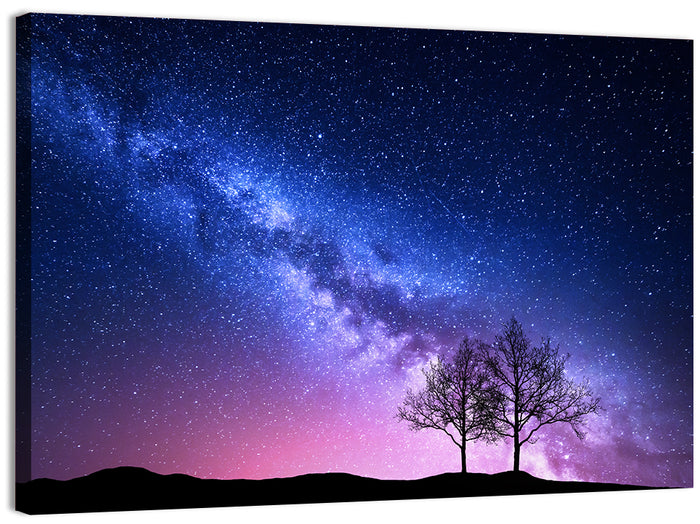 Milky Way Nebula Sky with Silhouetted Trees Wall Art as a canvas print
