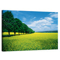Spring Field of Yellow Flowers Wall Art