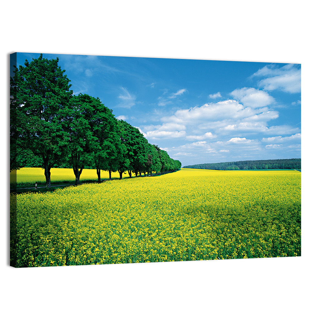 Spring Field of Yellow Flowers Wall Art, canvas print, landscape