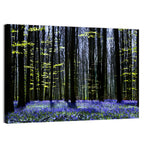 Bluebell Symphony Wall Art