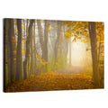 Cuyahoga Valley Autumn Path Wall Art