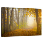 Cuyahoga Valley Autumn Path Wall Art