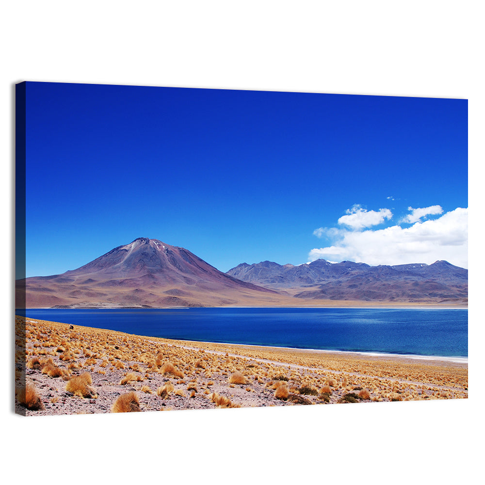 Miscanti Lagoon and Miñiques Volcano Wall Art, canvas print, landscape