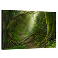 Moss-covered Rainforest Path Wall Art