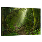 Moss-covered Rainforest Path Wall Art