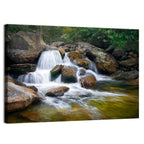 Blue Ridge Mossy Waterfall Wall Art