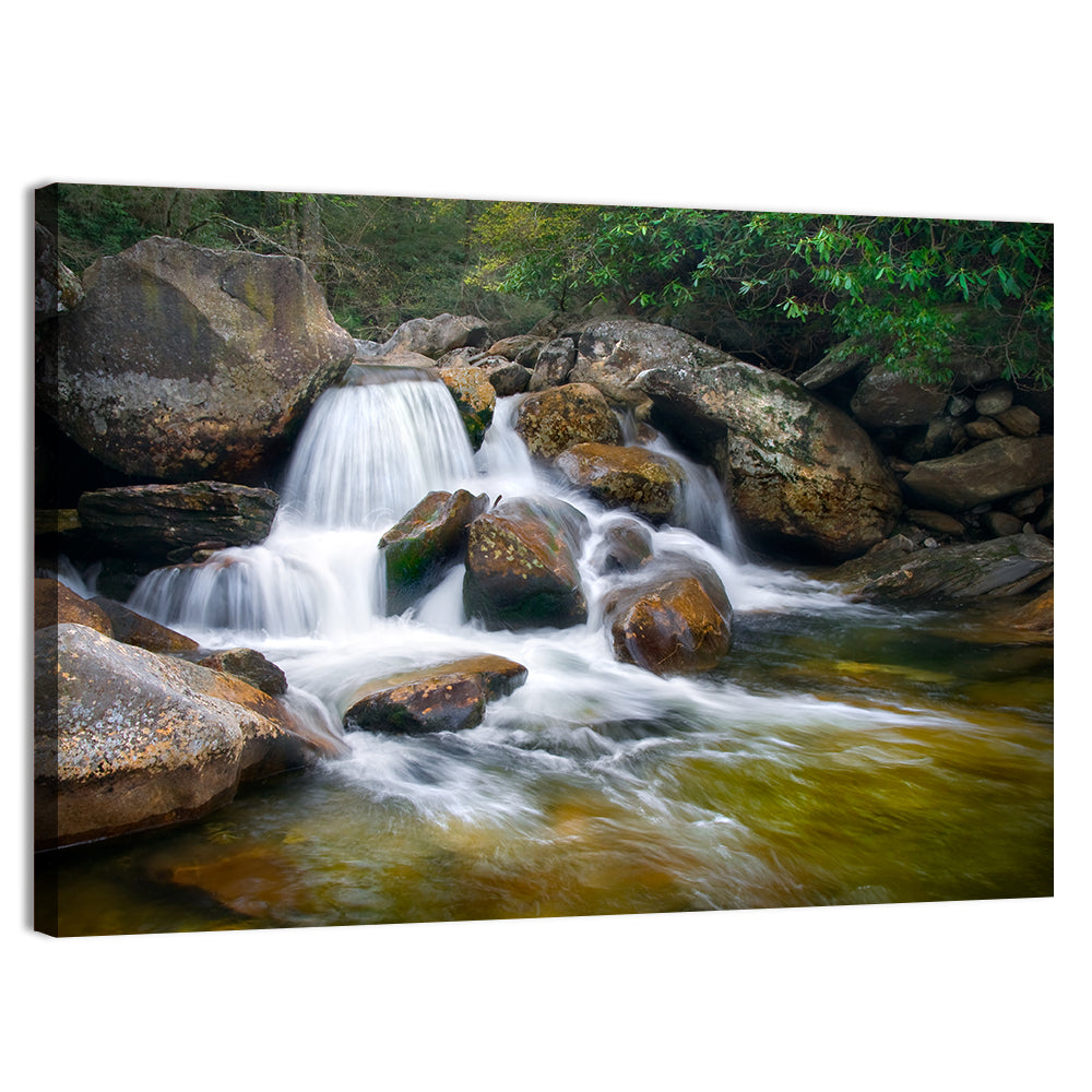Blue Ridge Mossy Waterfall Wall Art