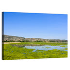 Uchali Lake Algae Reflection Wall Art