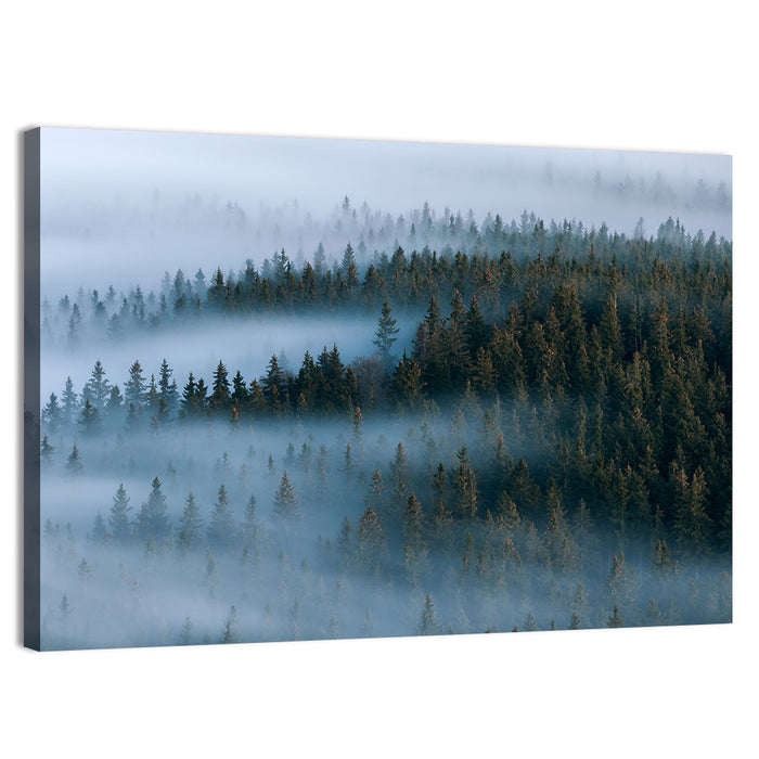 Morning Mist Over Pine Valley Wall Art as a canvas print