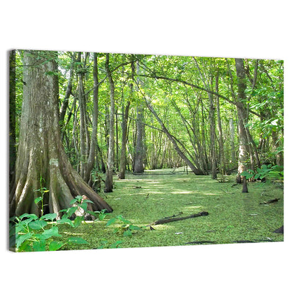 Louisiana Cypress Bayou Wall Art