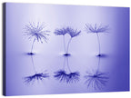 Blue Dandelion Seeds with Reflections Wall Art