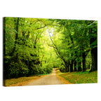Sunlit Forest Pathway Wall Art