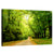 Forest Illuminated Pathway Wall Art