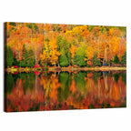 Autumn Forest Reflection Wall Art