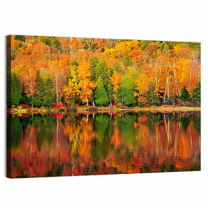 Autumn Forest Wall Art