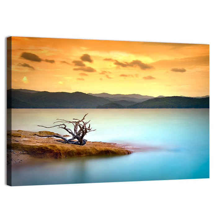 Gnarled Driftwood at Turquoise Lake Wall Art as a canvas print