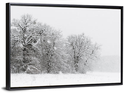 Foggy Winter Trees Wall Art