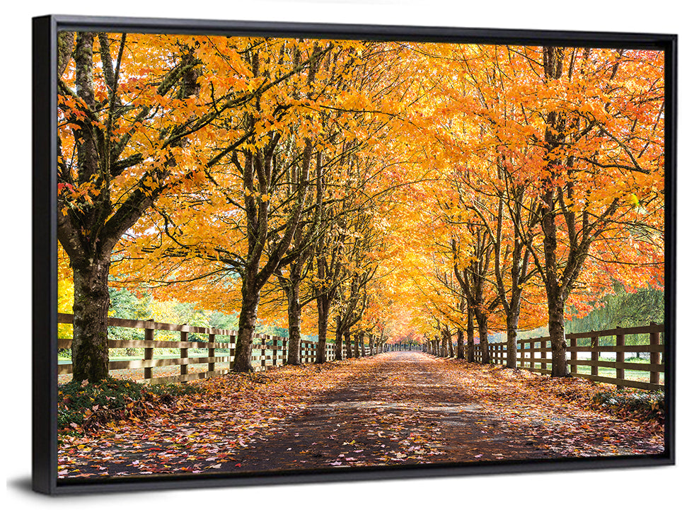Maple Lane in Autumn Wall Art