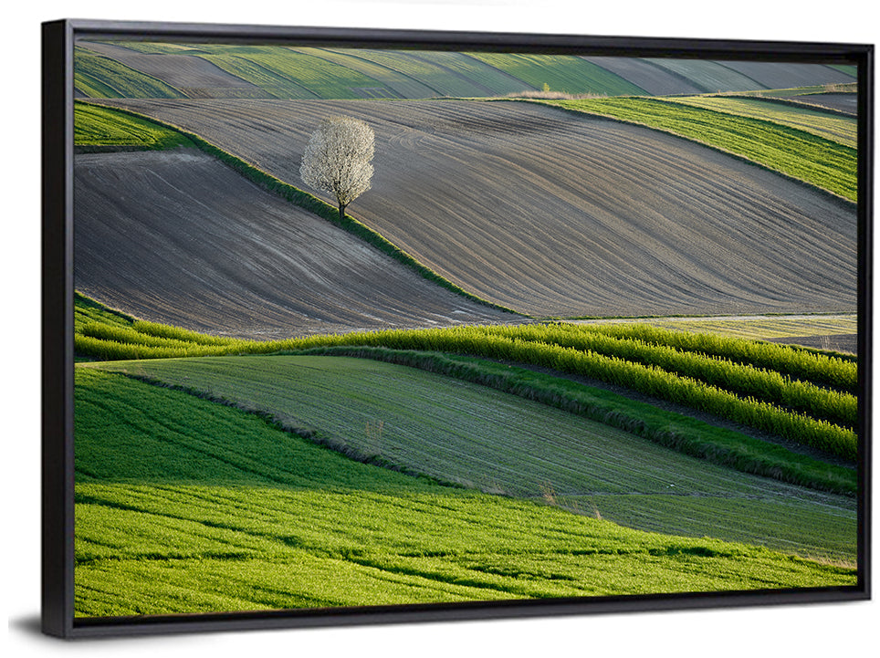 Springtime Polish Fields Wall Art
