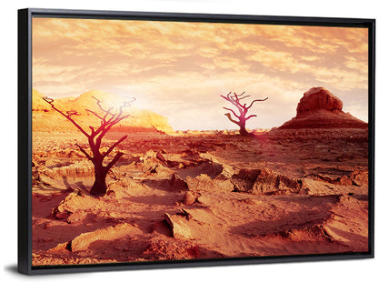 Dried Desert Wall Art