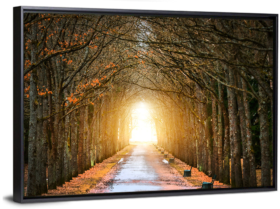 Autumn Oak Tunnel Wall Art