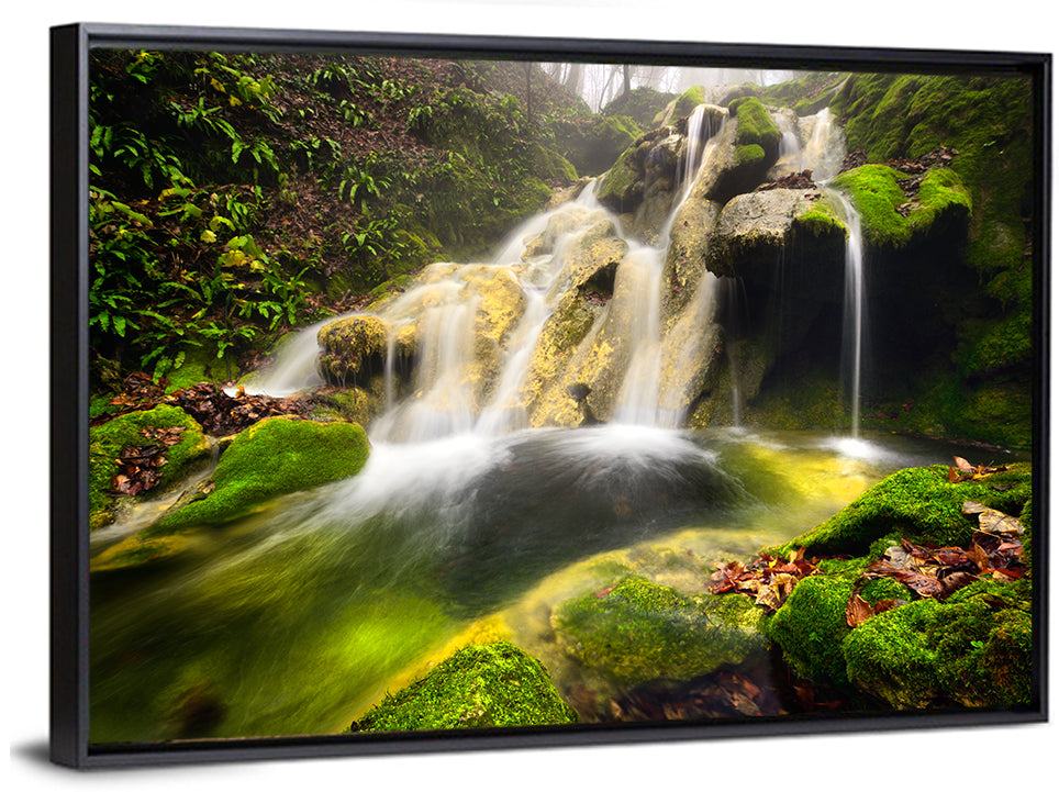 Cheile Nerei Mossy Waterfall Wall Art