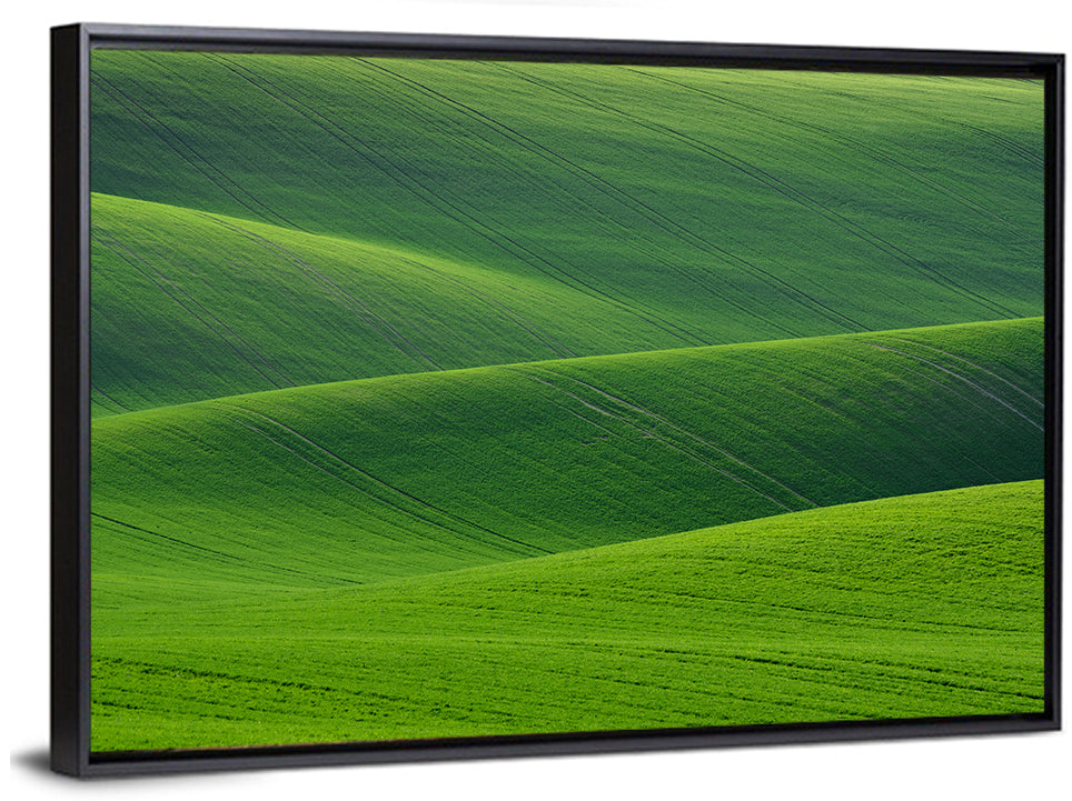 Rolling Emerald Wheat Fields Wall Art