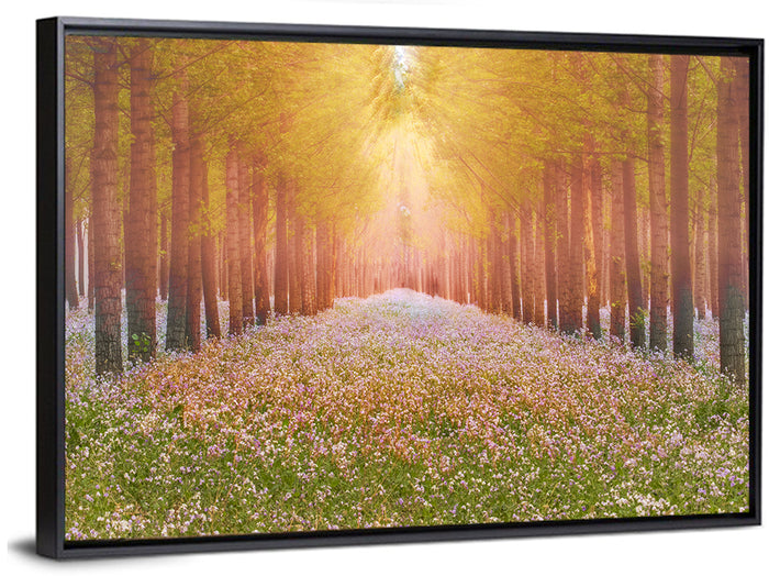 Golden Morning Forest Path Wall Art as a framed canvas