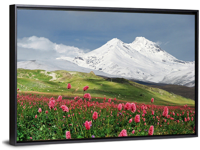 Caucasus Spring Wildflower Meadow Wall Art as a framed canvas