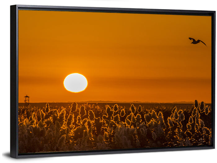 Golden Sunrise Over Reeds Wall Art as a framed canvas