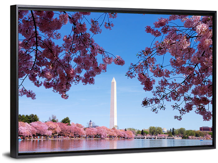 Washington Monument with Cherry Blossoms Wall Art as a framed canvas