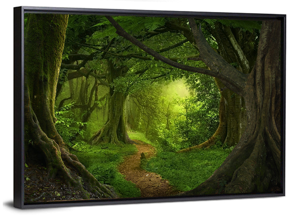 Tropical Forest Path Wall Art