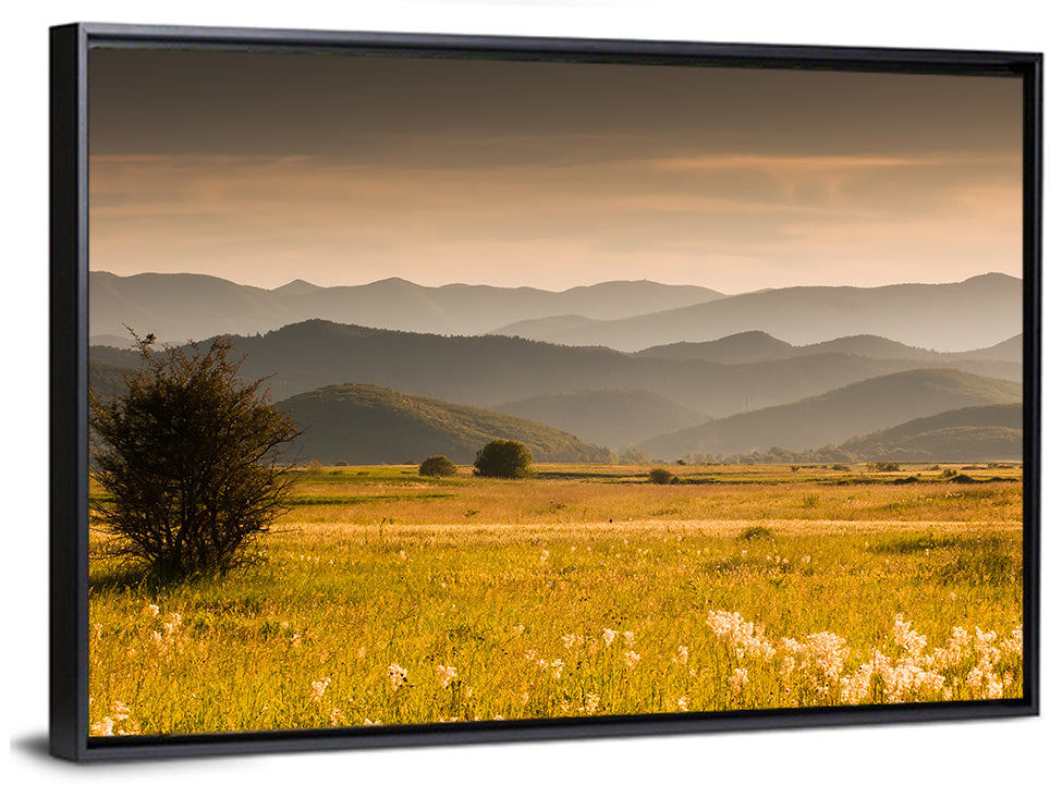 Golden Hour Countryside Hills Wall Art