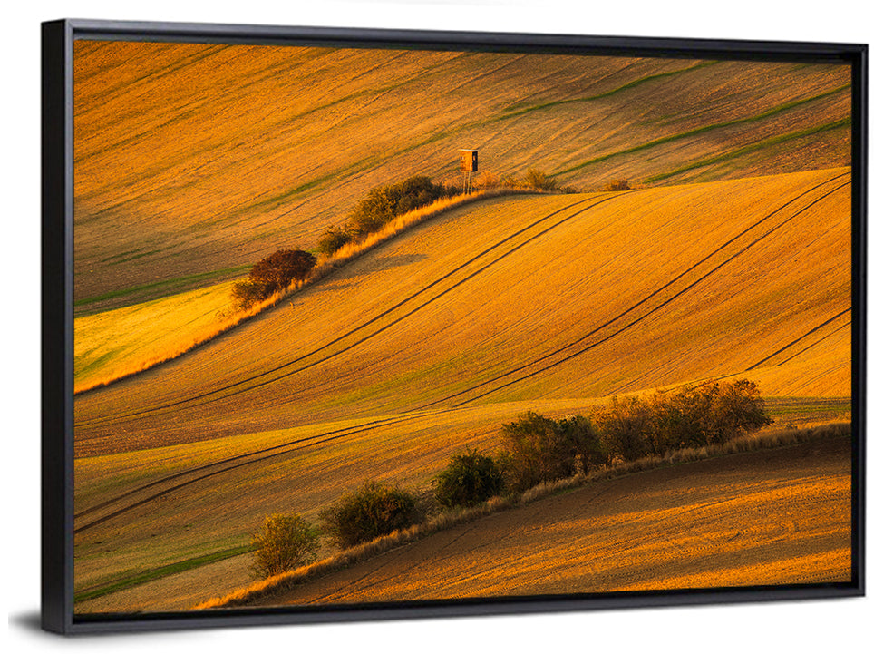 Golden Moravian Farm Tracks Wall Art