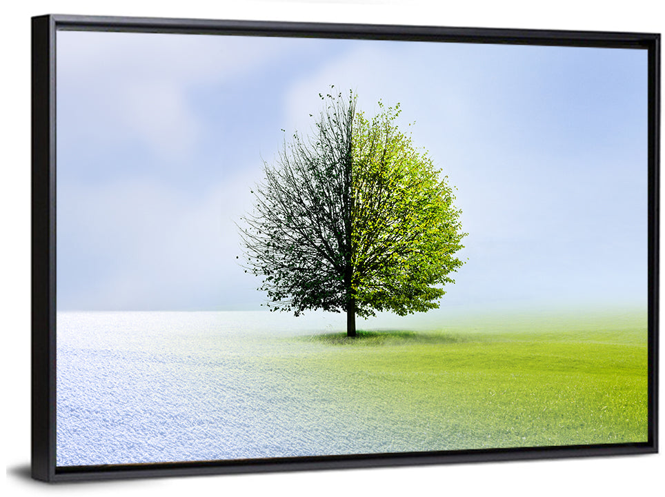 Winter to Spring Tree Wall Art