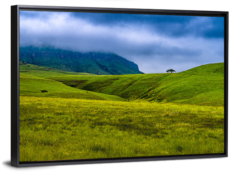 Dragon Mountains with Lone Tree Wall Art