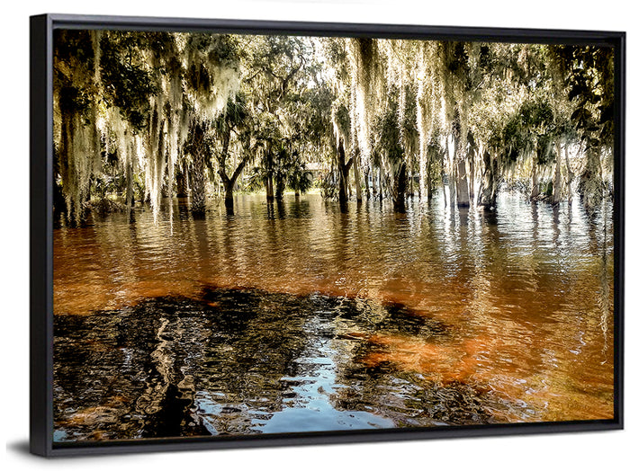Spanish Moss Swamp at Lake Jesup Wall Art as a framed canvas