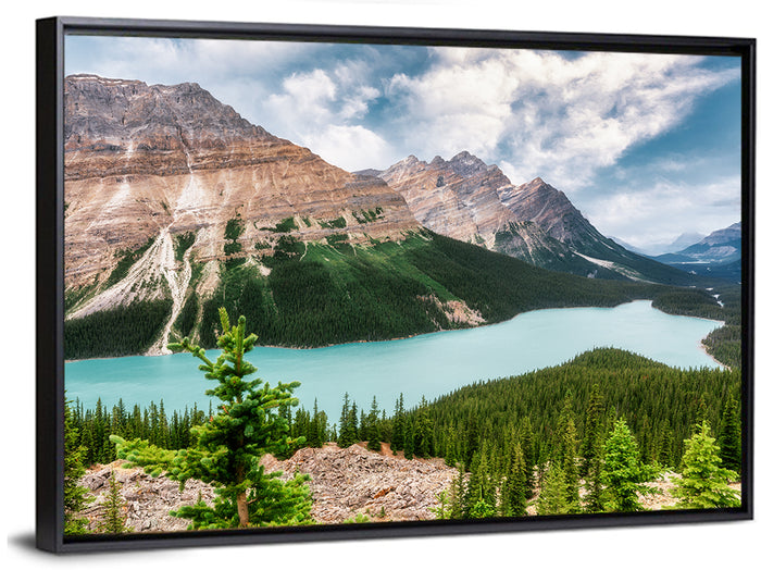 Peyto Lake Scenic View Wall Art as a framed canvas