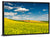 Canola Fields Wall Art