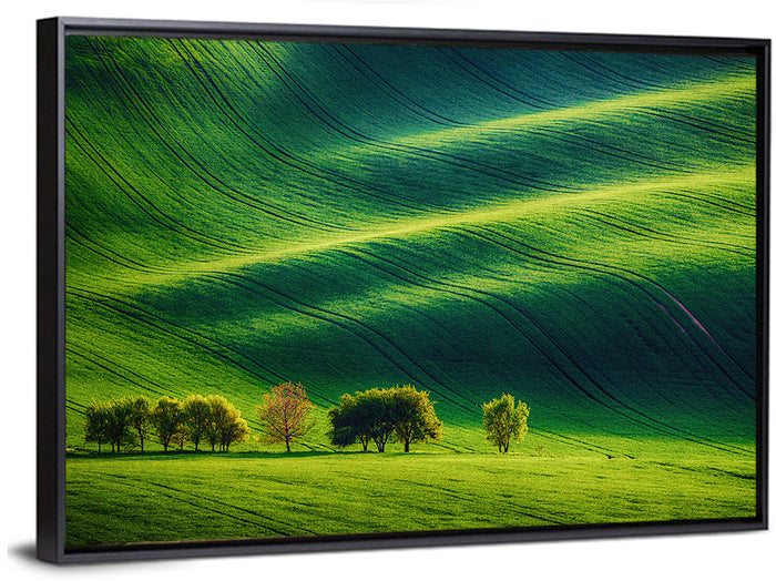 Southern Moravia Rolling Fields Wall Art as a framed canvas