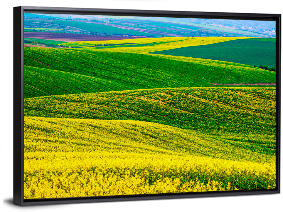 Spring Rapeseed Fields Wall Art