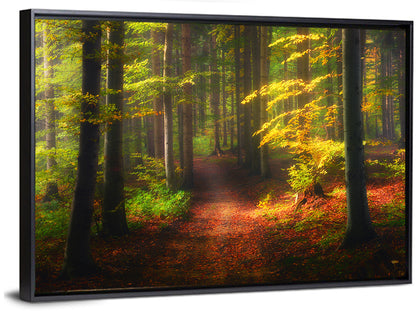 Autumn Forest Pathway Wall Art