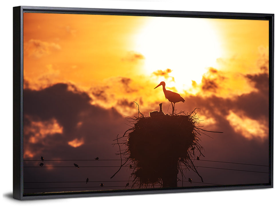 Stork Nest at Sunset Wall Art