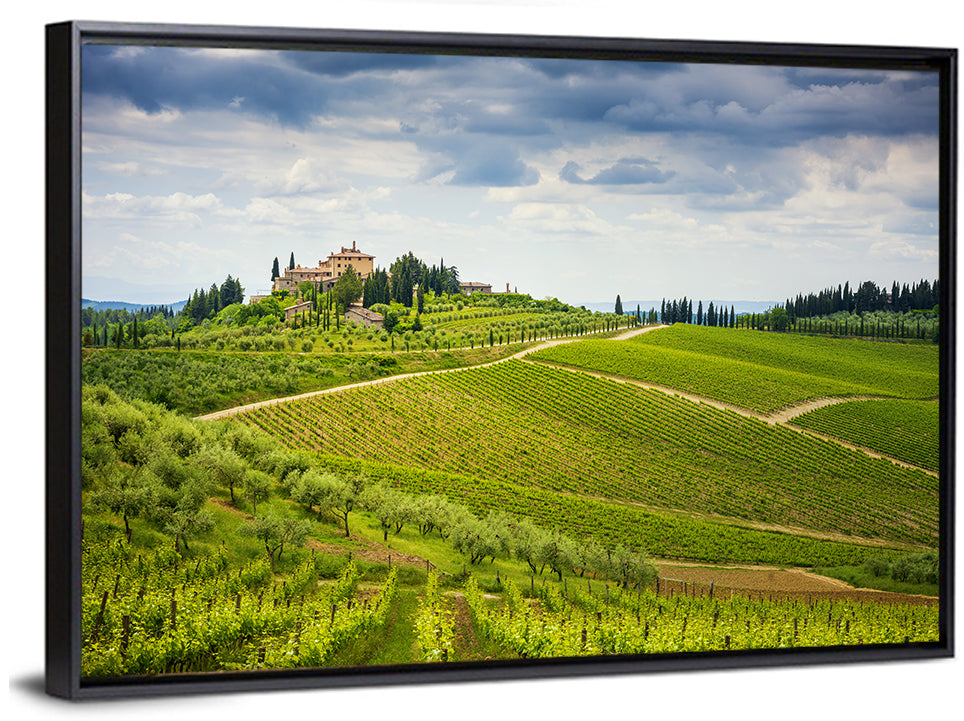 Chianti Vineyard Hills Wall Art