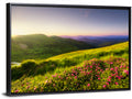 Alpine Meadow Sunrise Wall Art